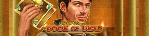 Book Of Dead By Play'n Go Slot Banner