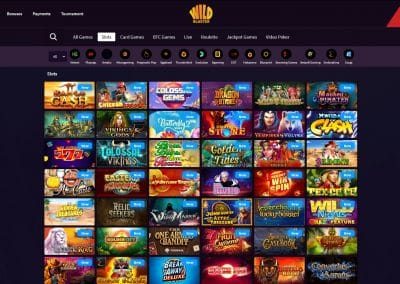 Wildblaster Casino slots