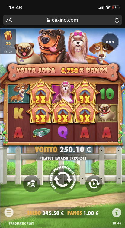 The Dog House Casino win picture by vesselis 4.8.2020 250.10e 250x Caxino