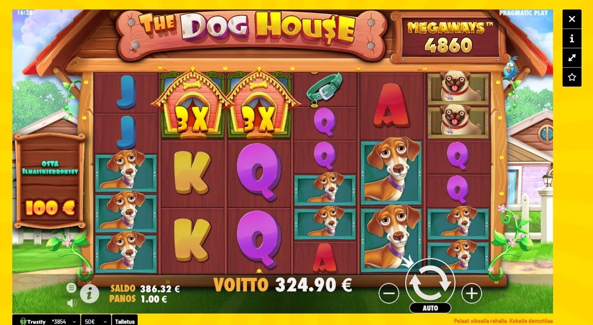 The Dog House Casino win picture by viimesenpaalle 18.9.2020 324.90e 325X