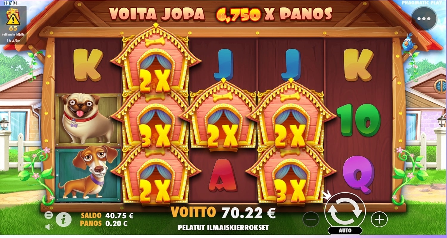 Dog House casino win picture by Dingo 70.22€ 351.1x 23.12.2022