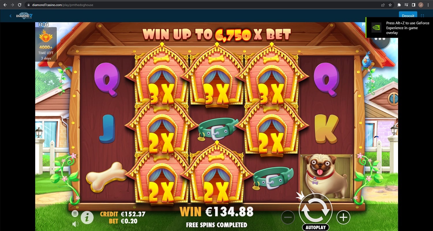 Dog House casino win picture by Jonkki 134.88€ 674.4x 27.11.2022 Diamond7 Casino
