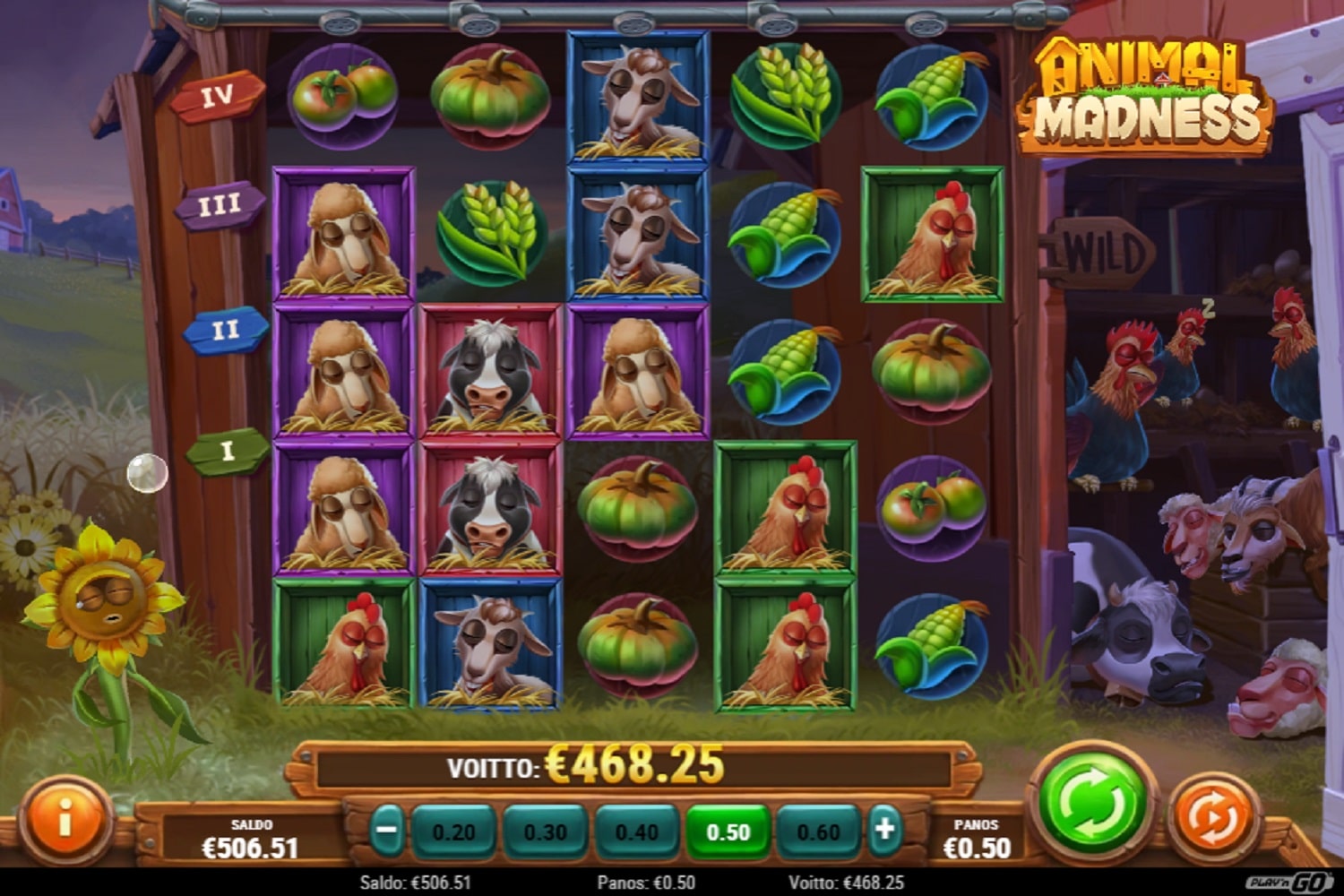 Animal Madness Casino win picture by kettuuuuuu 468.25€ 936.5x 19.6.2023