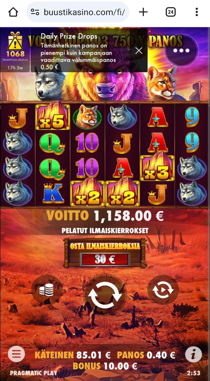 Buffalo King Casino win picture by Janne 1158€ 2895x 10.11.2023 Buusti Kasino